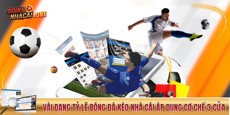 Kèo Nhà Cái Châu Âu Và Thông Tin Từ Cơ Bản Đến Nâng Cao Vài dạng tỷ lệ bóng đá kèo nhà cái áp dụng cơ chế 3 cửa